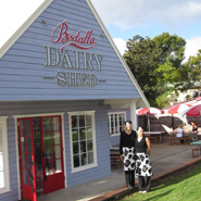 bodalla dairy shed